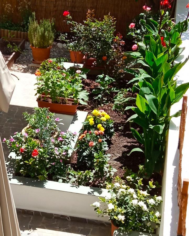Charming Garden Apartment Rhodes City Ruang foto
